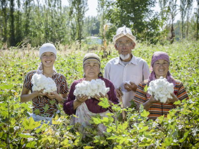 Cotonea führende deutsche Marke für biologische und faire Baumwolle im Nachhaltigkeitsranking
