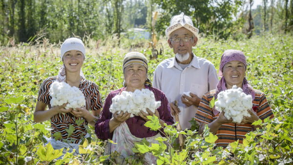 Cotonea führende deutsche Marke für biologische und faire Baumwolle im Nachhaltigkeitsranking