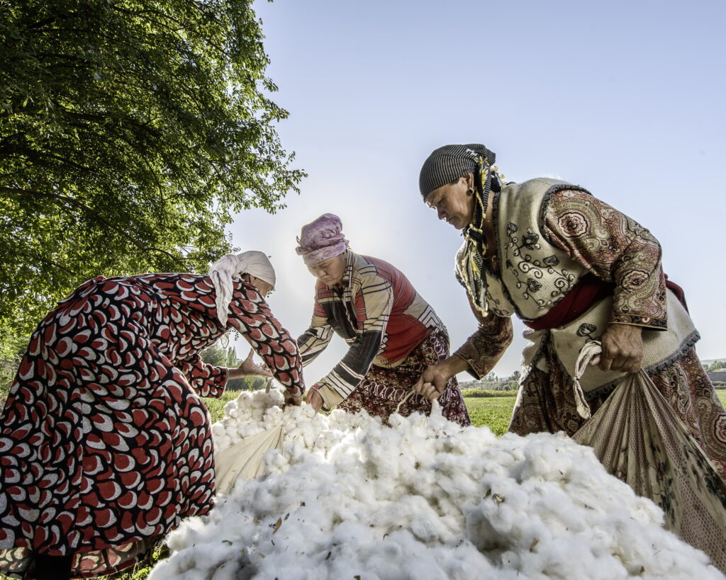 Cotonea hat Baumwollprojekte in Uganda und Kirgistan mit aufgebaut