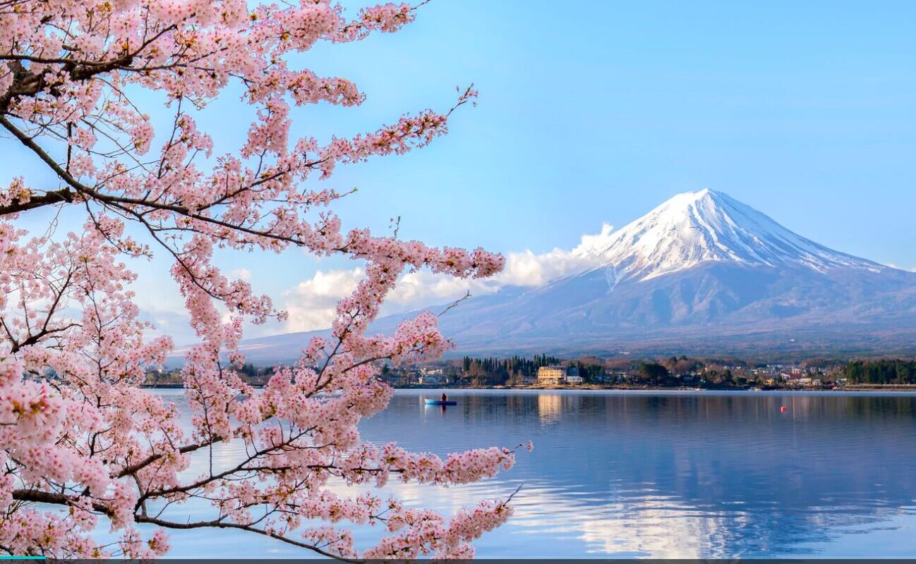 Die Vielfalt der japanischen Kirschblüten