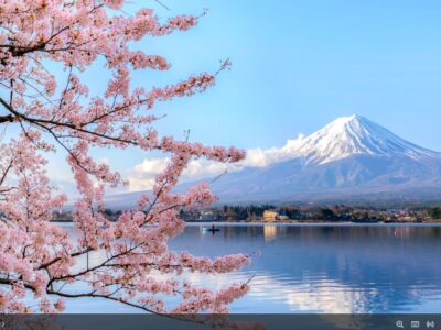 Die Vielfalt der japanischen Kirschblüten