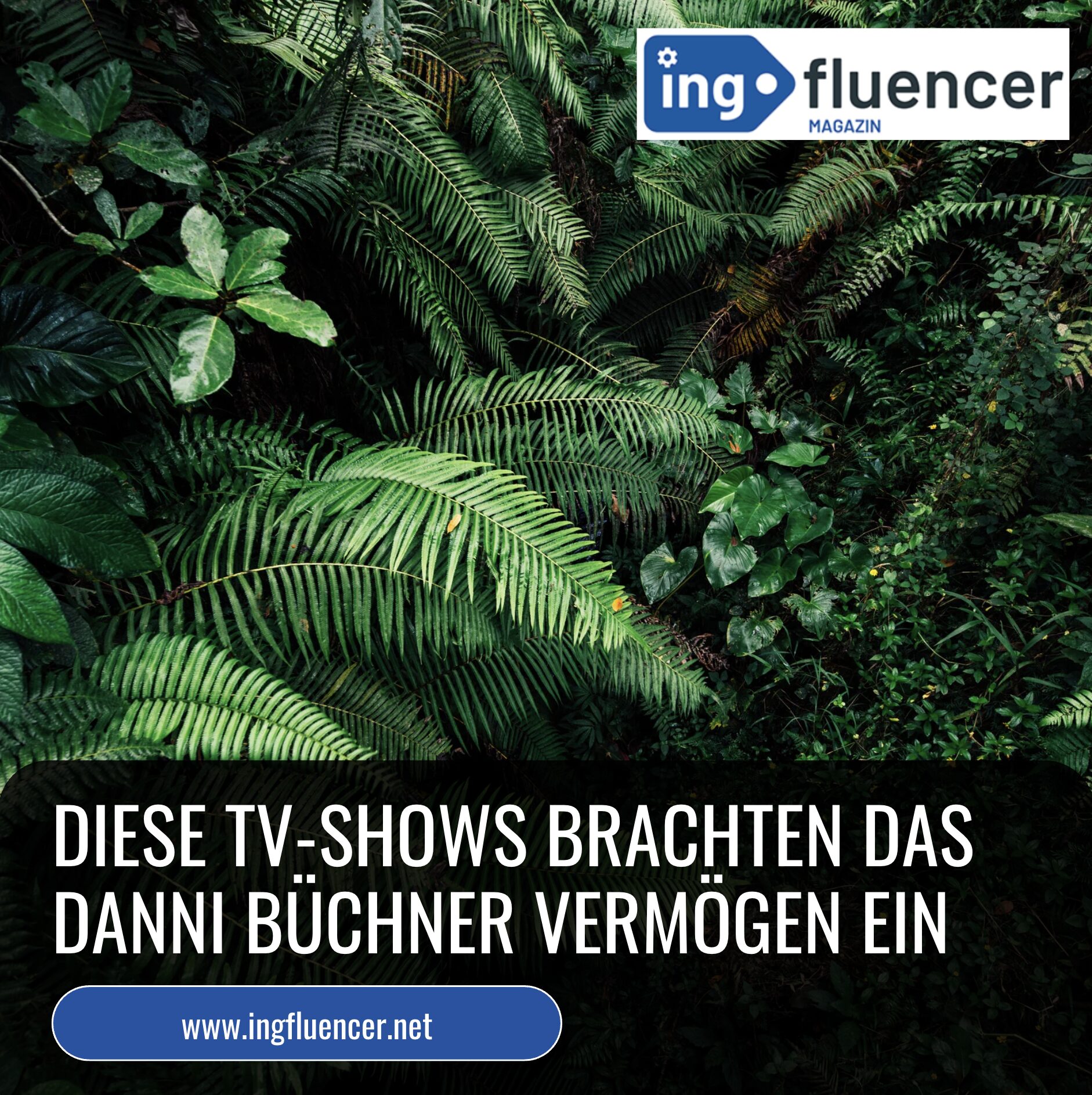 Diese TV-Shows brachten das Danni Büchner Vermögen ein