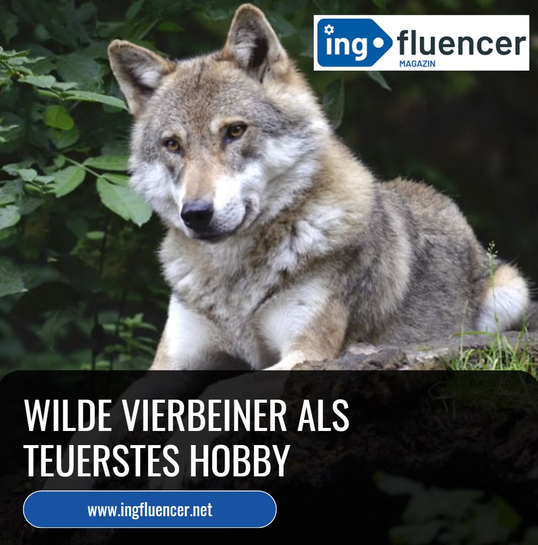 Exotische Haustiere Wilde Vierbeiner als teuerstes Hobby