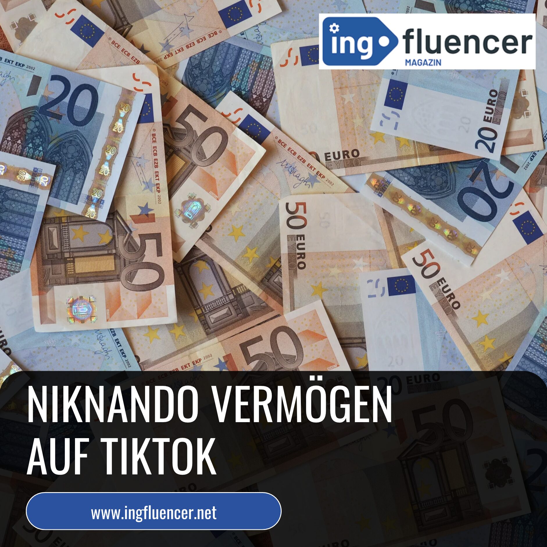 Niknando Vermögen auf TikTok