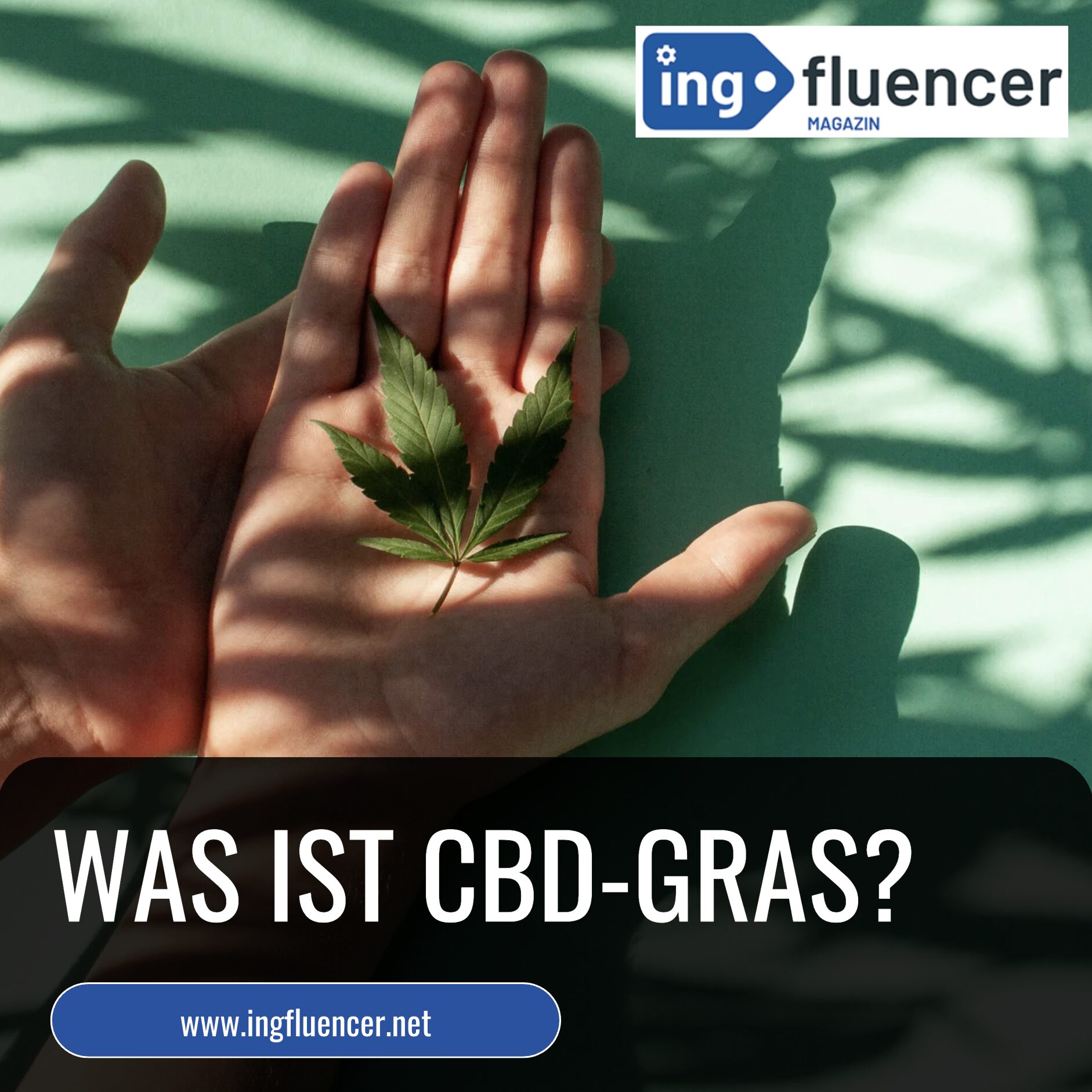 Was ist CBD-Gras?