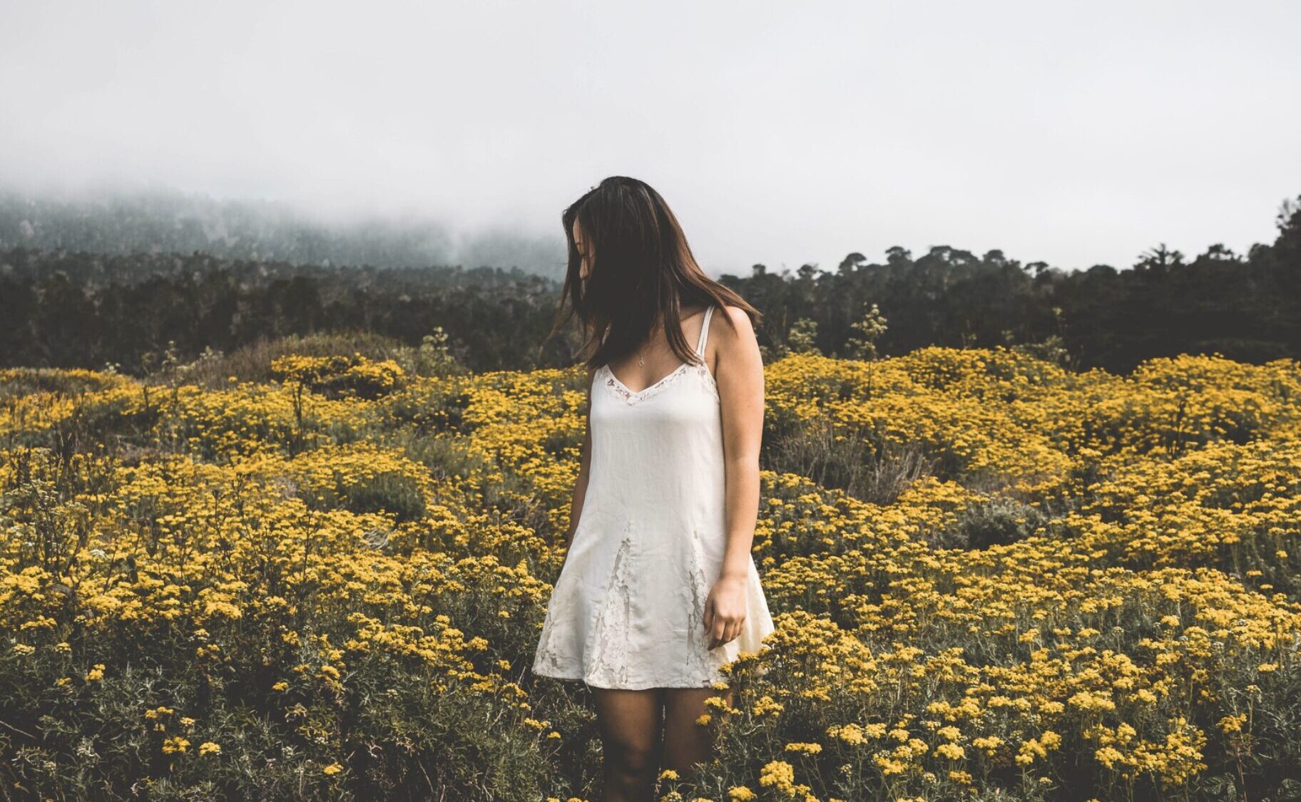 Ivana Knoll