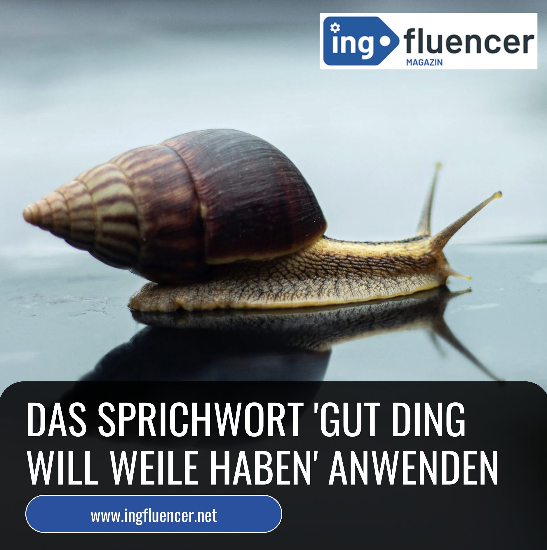 Das Sprichwort 'Gut Ding will Weile haben' anwenden Das Sprichwort 'Gut Ding will Weile haben' anwenden