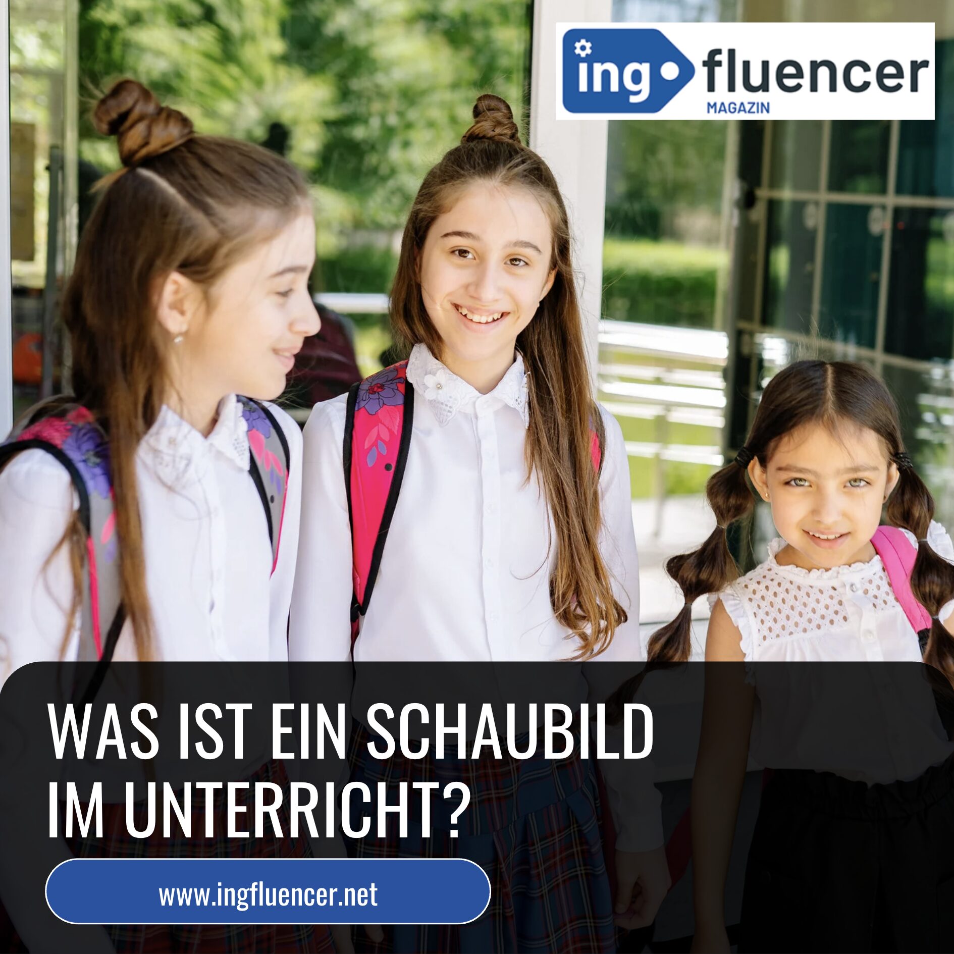 Was ist ein Schaubild im Unterricht? Was ist ein Schaubild im Unterricht?
