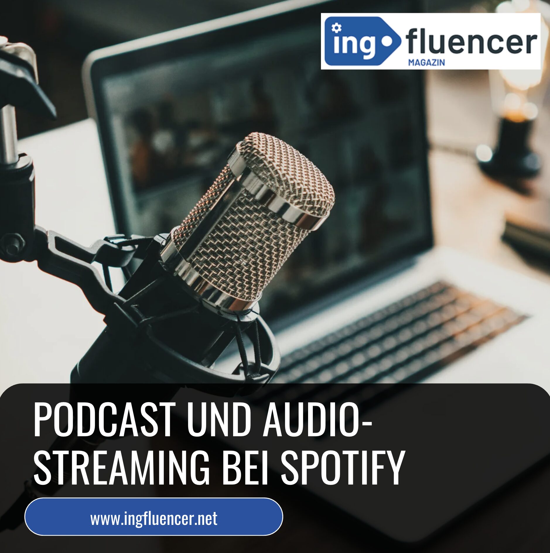 Wie viel Geld hat Papaplatte? Podcast und Audio-Streaming bei Spotify Wie viel Geld hat Papaplatte? Podcast und Audio-Streaming bei Spotify