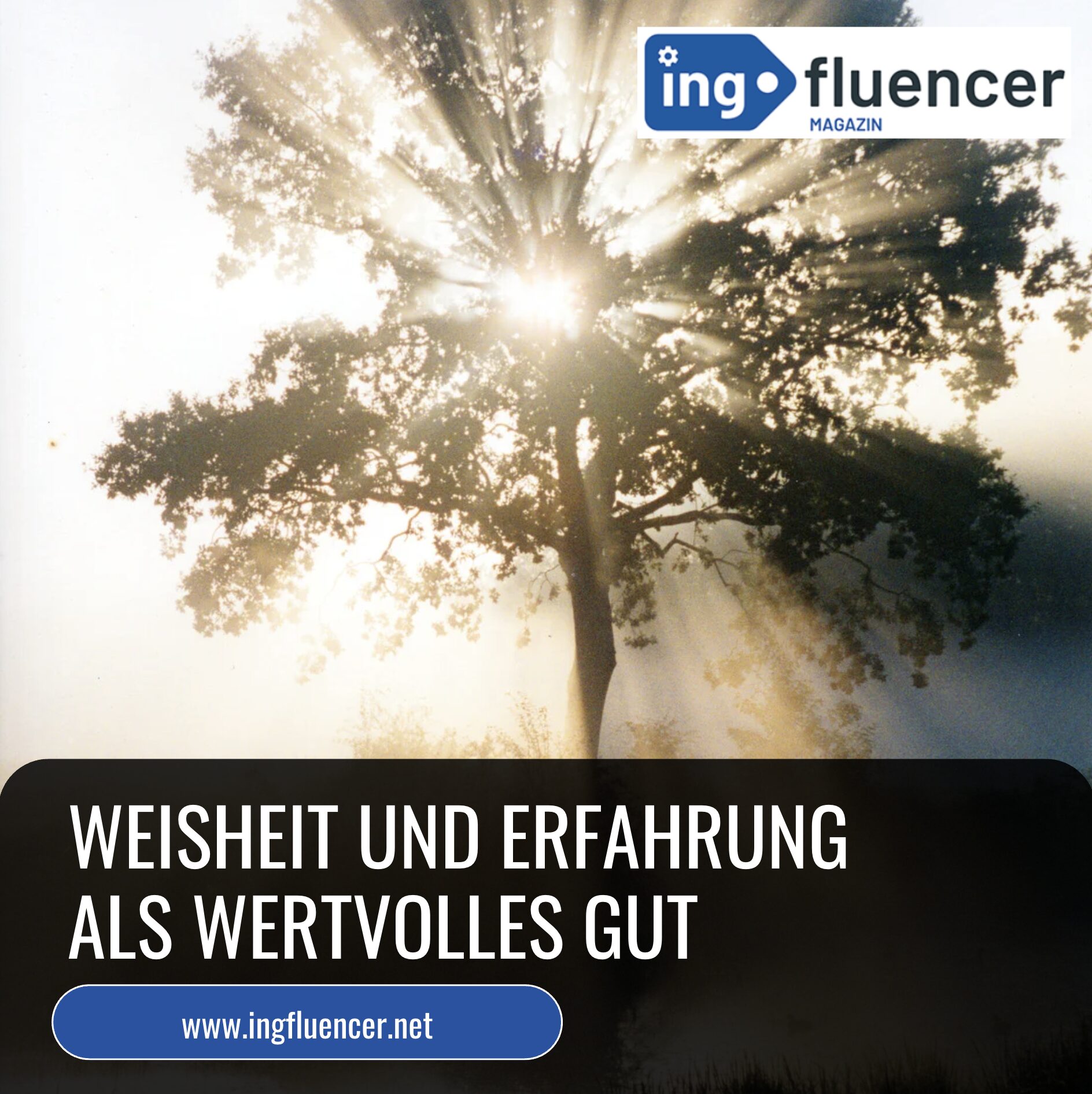 Woher kommt der Spruch "Altwerden ist nichts für Feiglinge?" - Weisheit und Erfahrung als wertvolles Gut Woher kommt der Spruch "Altwerden ist nichts für Feiglinge?" - Weisheit und Erfahrung als wertvolles Gut
