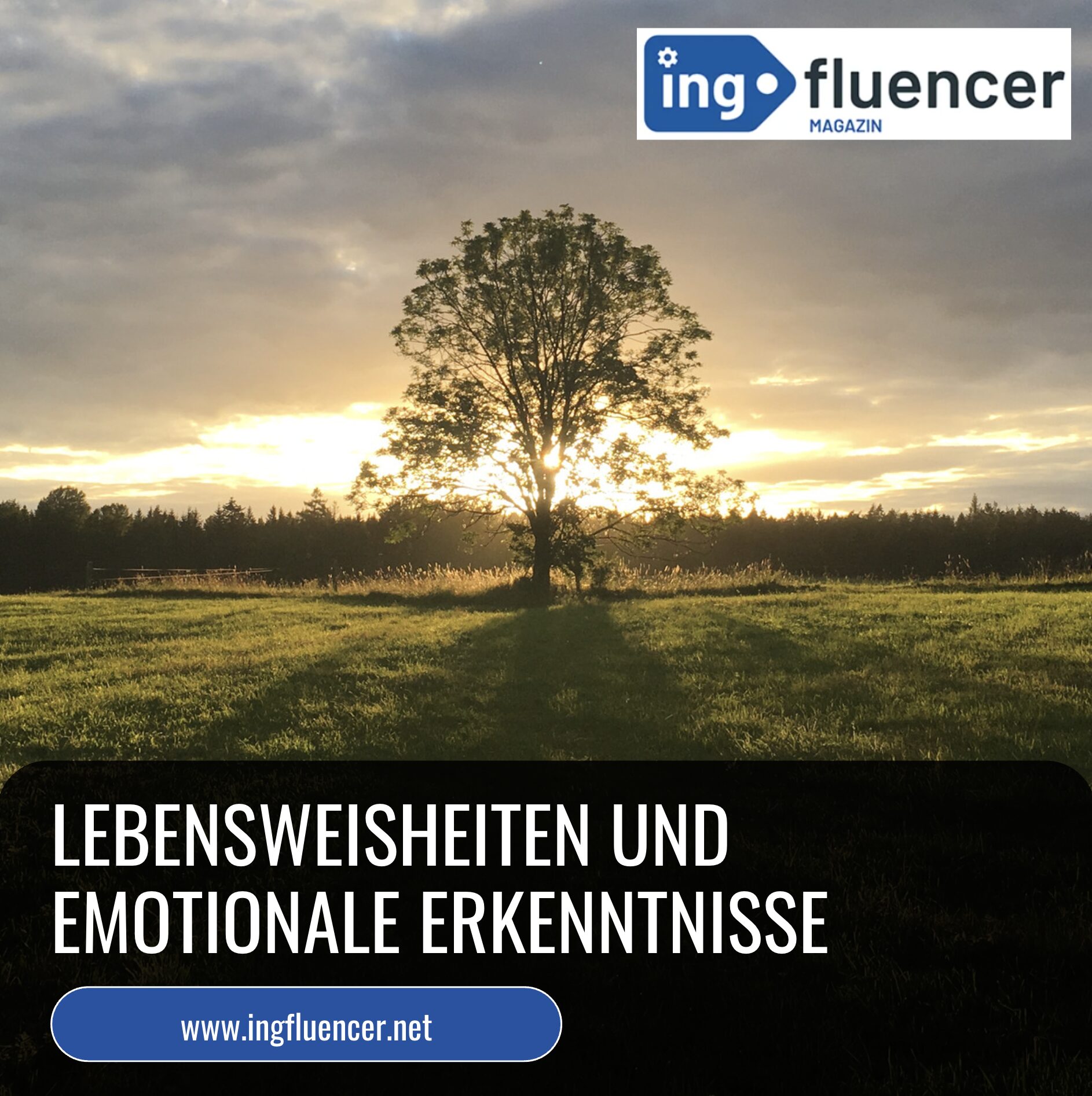 Sprüche über Emotionen zum Nachdenken über Gefühle: Lebensweisheiten und emotionale Erkenntnisse Sprüche über Emotionen zum Nachdenken über Gefühle: Lebensweisheiten und emotionale Erkenntnisse
